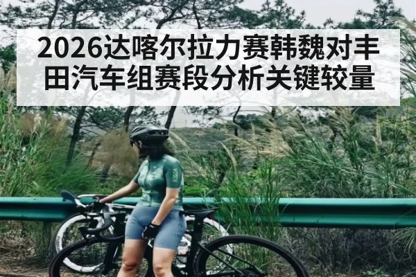 2026达喀尔拉力赛韩魏对丰田汽车组赛段分析关键较量
